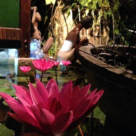The Lotus Garden Acomodação com café da manhã Puerto Princesa Exterior foto