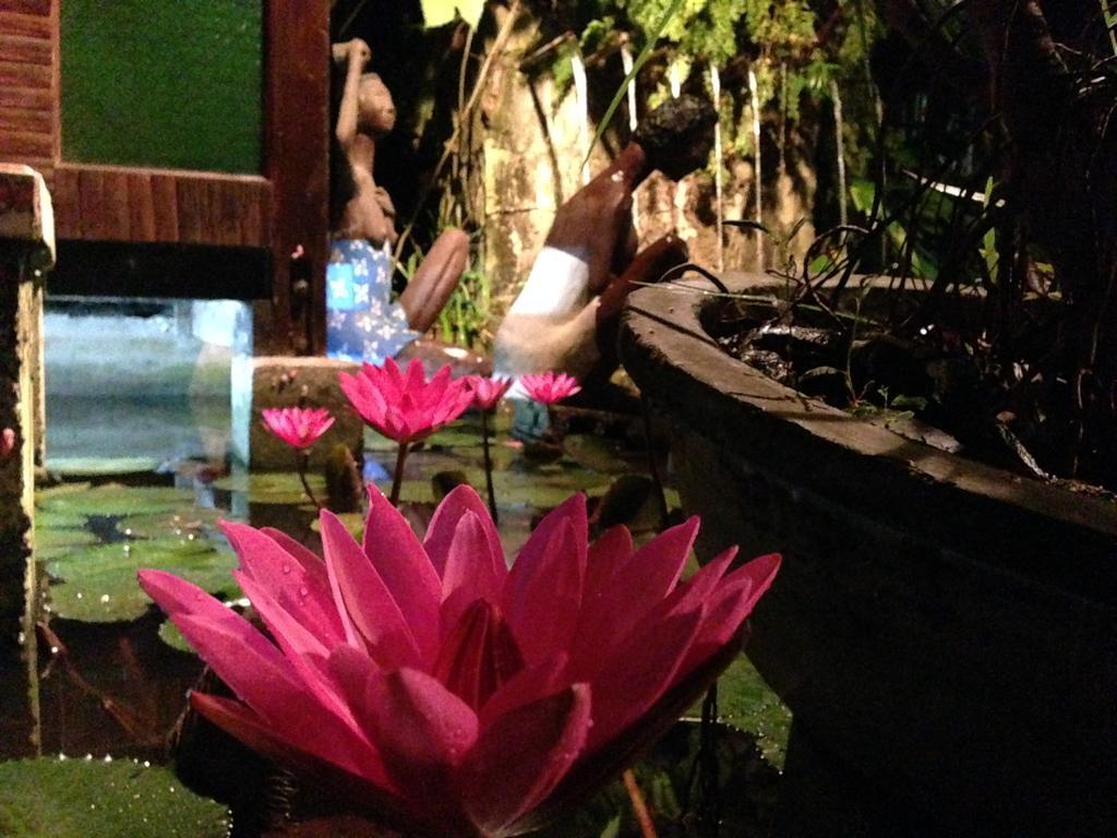 The Lotus Garden Acomodação com café da manhã Puerto Princesa Exterior foto